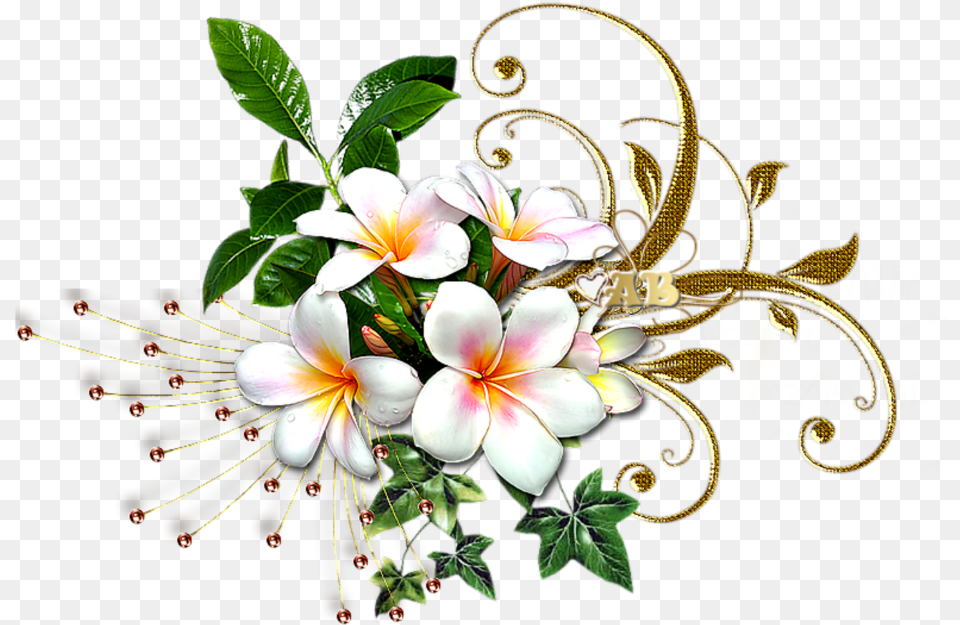 Mq White Gold Flowers Flower Garden Rosa Glauca White And Gold Flowers, Art, Floral Design, Flower Arrangement, Flower Bouquet Free Png Download