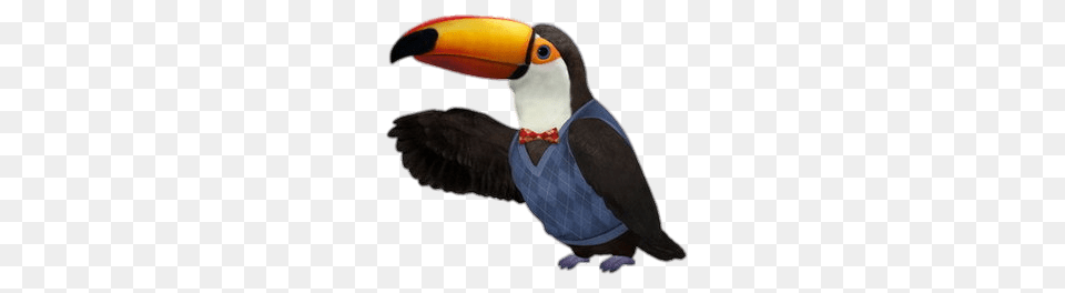 Mr Beakman, Animal, Beak, Bird, Toucan Png