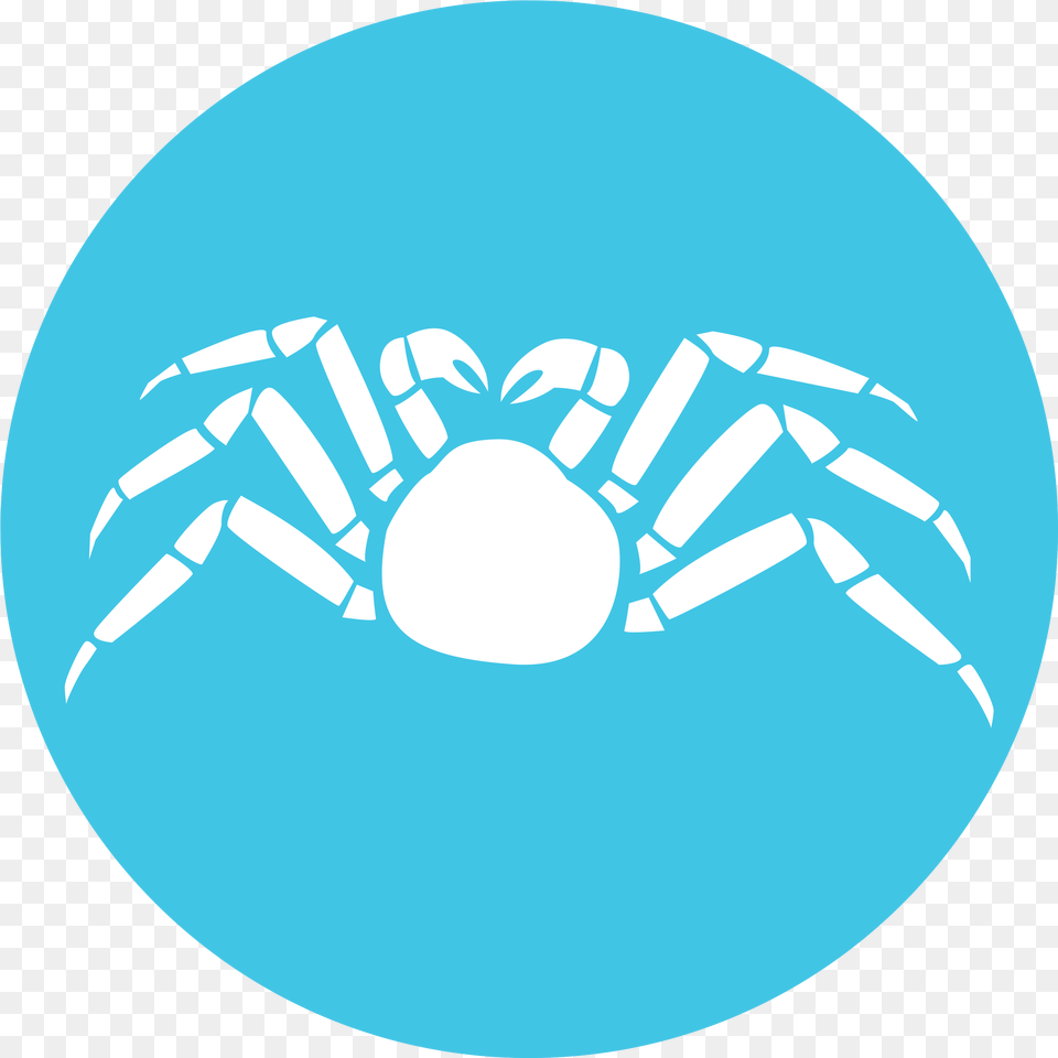 Mr Crabs, Animal, Crab, Food, Invertebrate Free Transparent Png