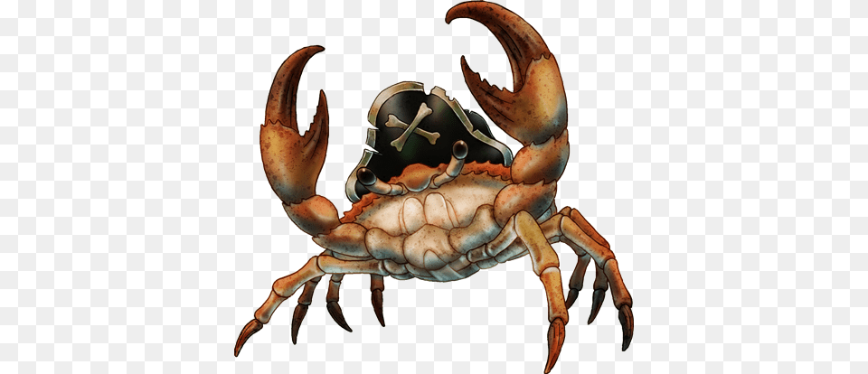Mr Crabs Hero Crab, Food, Seafood, Animal, Sea Life Png