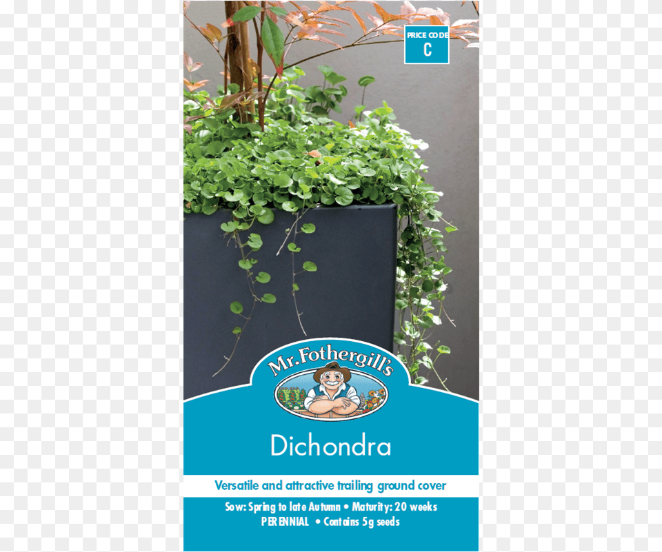 Mr Fothergill39s Dichondra Seeds Australian Native Hanging Plants, Advertisement, Pottery, Potted Plant, Poster Png Image