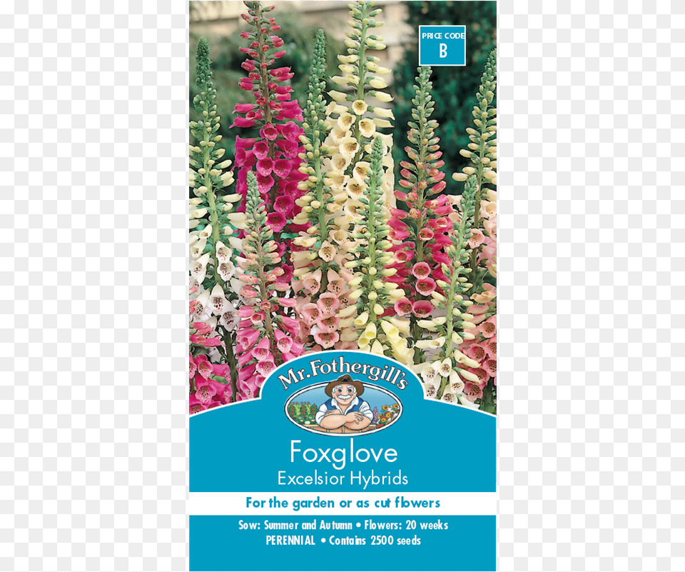 Mr Fothergill39s Foxglove Excelsior Seeds Foxgloves Bunnings, Flower, Plant, Advertisement, Baby Free Transparent Png