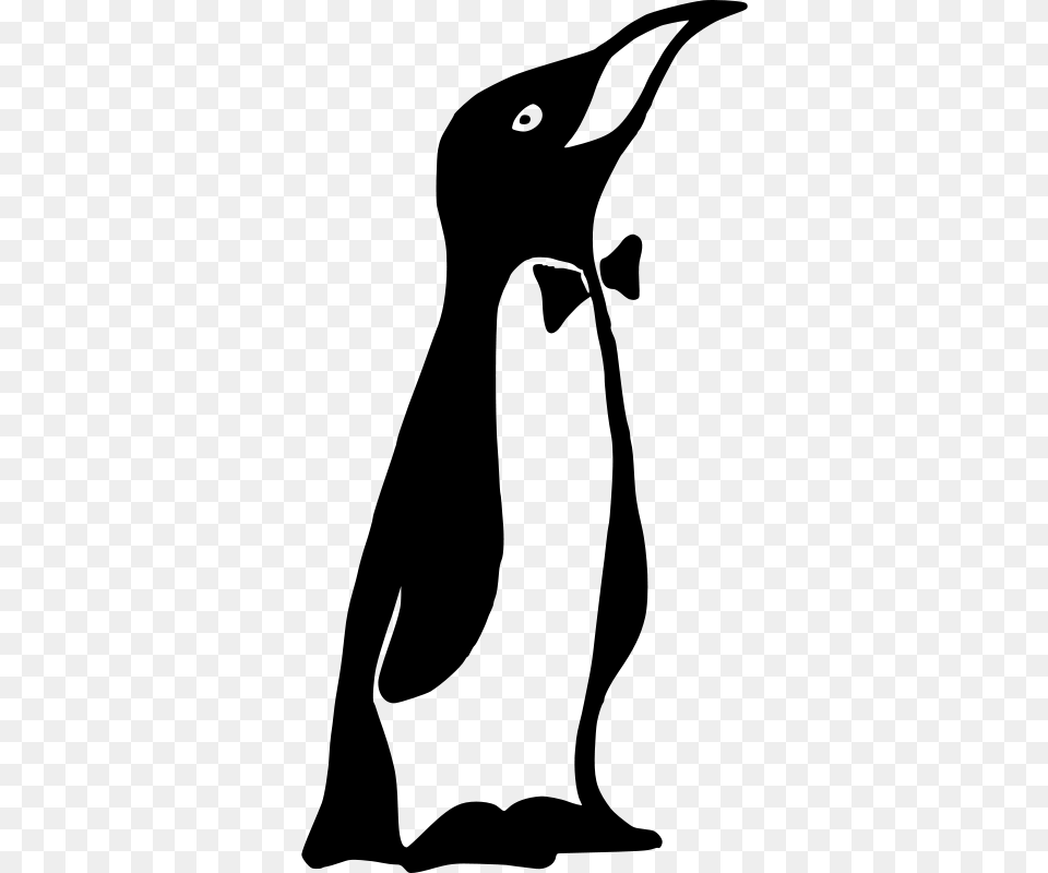Mr Penguin, Gray Png Image