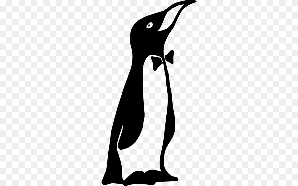 Mr Penguin Clip Art, Animal, Bird, Kangaroo, Mammal Png