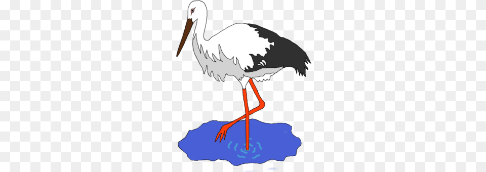 Mr Stork White Stork Crane Download, Animal, Bird, Waterfowl, Person Png