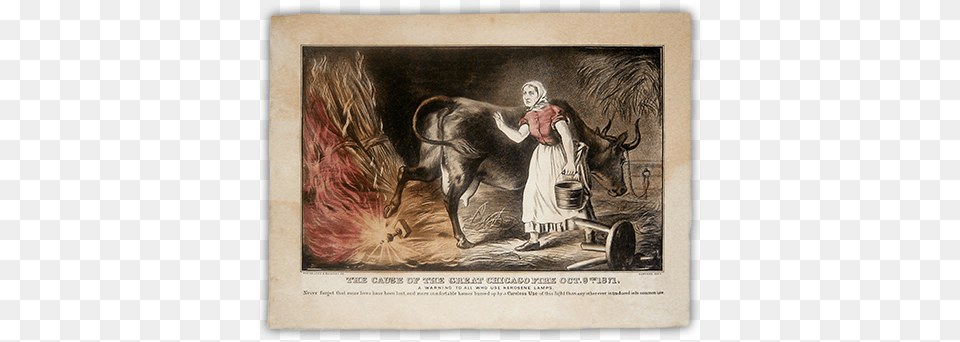 Mrs Oleary Great Chicago Fire And The Myth, Art, Painting, Animal, Bull Free Transparent Png