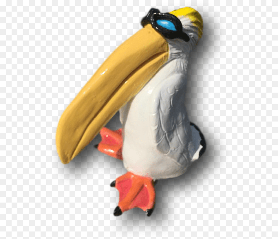 Mrs Penguin, Animal, Beak, Bird Png Image