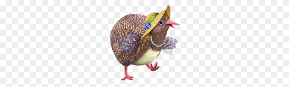 Mrsbillingsley, Animal, Bird, Beak Png