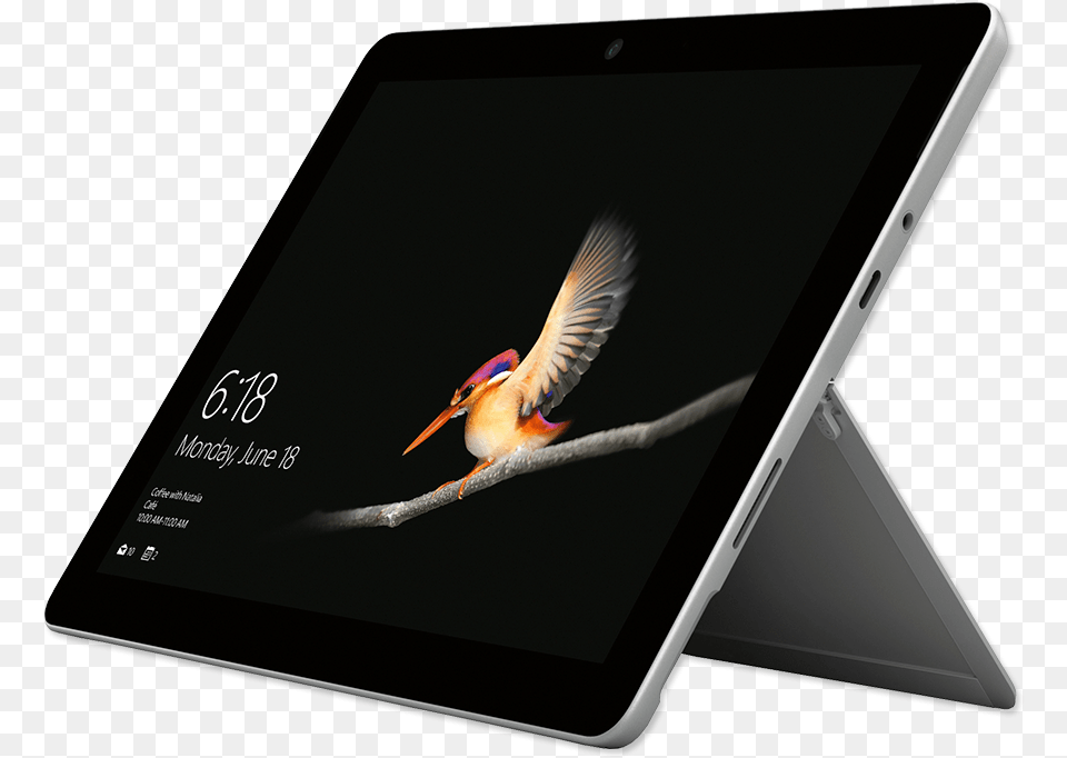 Ms Surface Go, Computer, Electronics, Tablet Computer, Animal Png Image