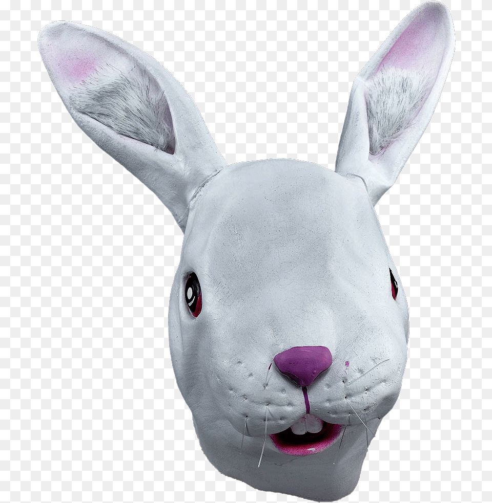 Mscara Completa Conejo Rabbit Head Mask, Animal, Mammal, Fish, Sea Life Free Png