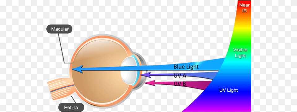 Msi All Blue Light Eye, Cup, Chart, Plot Free Png
