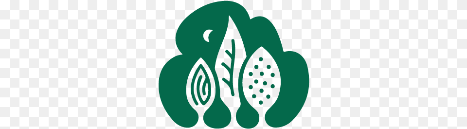 Mssbg Almond Tree Logo, Pattern, Turquoise Png