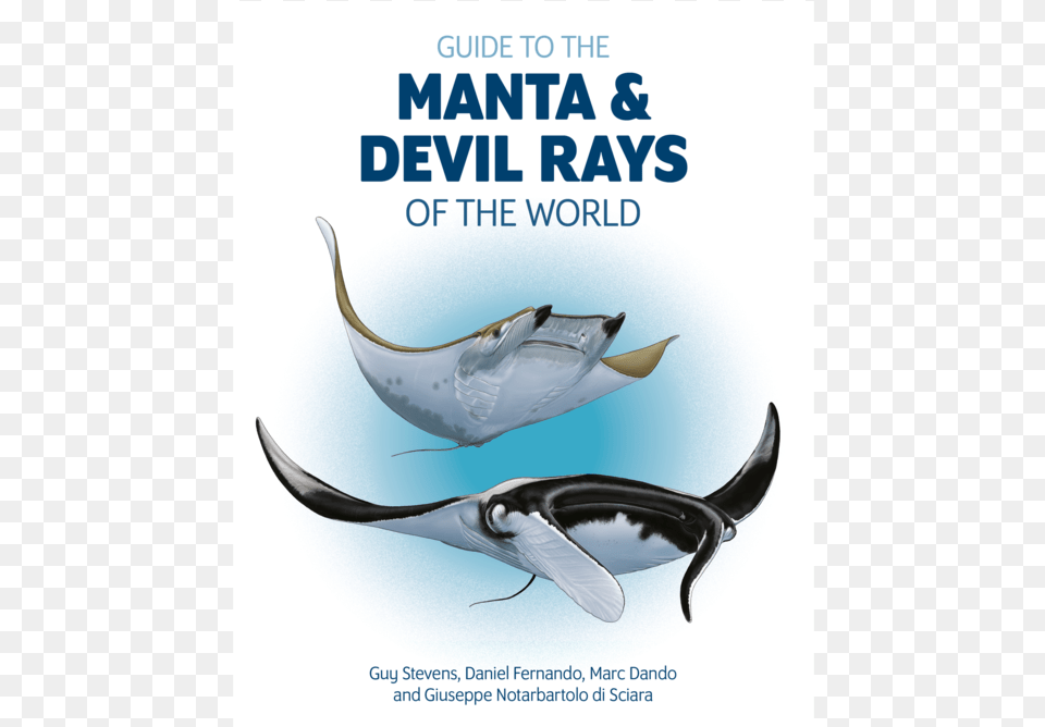 Mt Website Shop Guide To Manta Amp Devil Ray Thumbnail Guide Manta And Devil Rays Of The World, Animal, Fish, Manta Ray, Sea Life Png Image