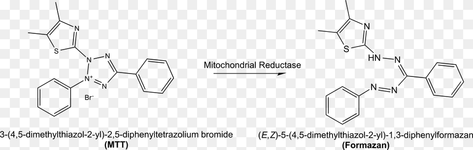 Mtt Reaction Mtt Formazan, Gray Png Image