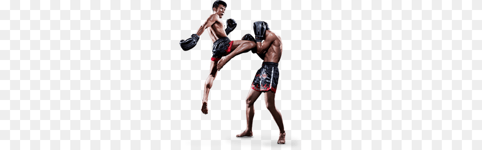 Muay Thai, Adult, Male, Man, Person Free Png