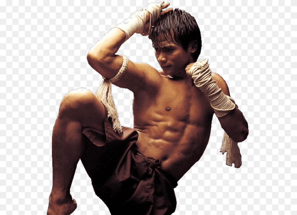 Muay Thai, Adult, Man, Male, Glove Free Png Download