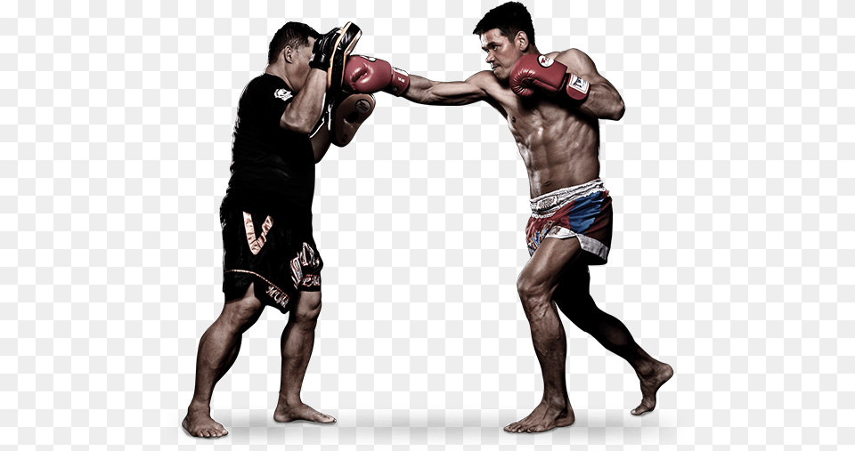 Muay Thai Fighter, Adult, Male, Man, Person Free Transparent Png