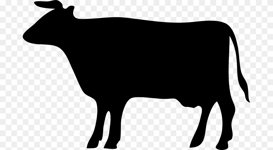 Mucca, Gray Png Image