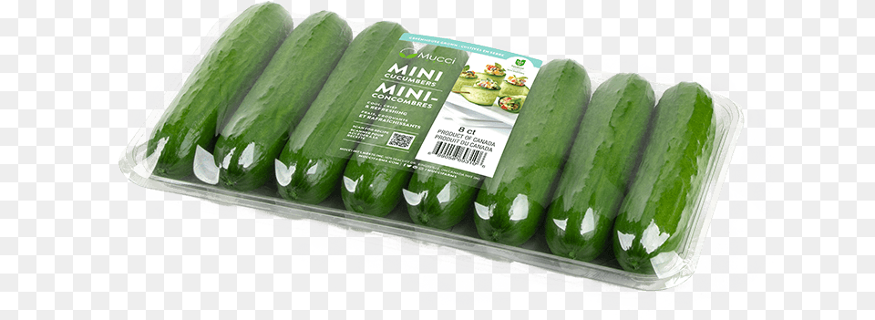 Mucci Farms Cucumber, Food, Plant, Produce, Vegetable Free Png Download
