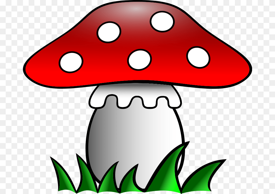 Muchomor, Agaric, Fungus, Mushroom, Plant Free Png