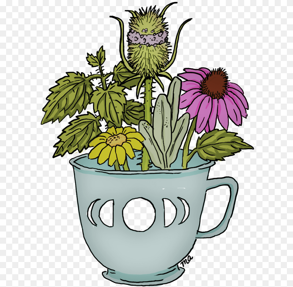 Mud Clipart Mud Pond Flowerpot, Daisy, Flower, Potted Plant, Plant Png Image