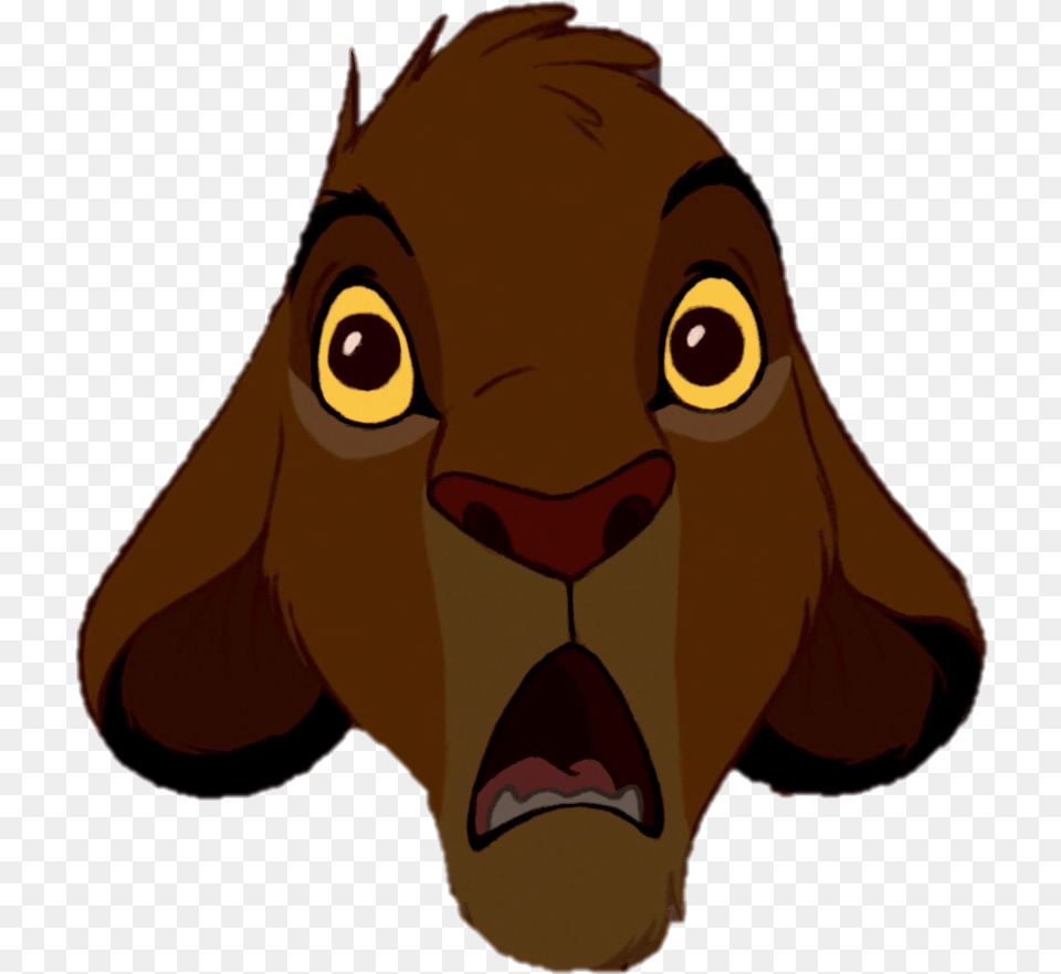 Mufasa Clipart Lion Cub Lion King Simba Shocked, Snout, Animal, Canine, Dog Png Image