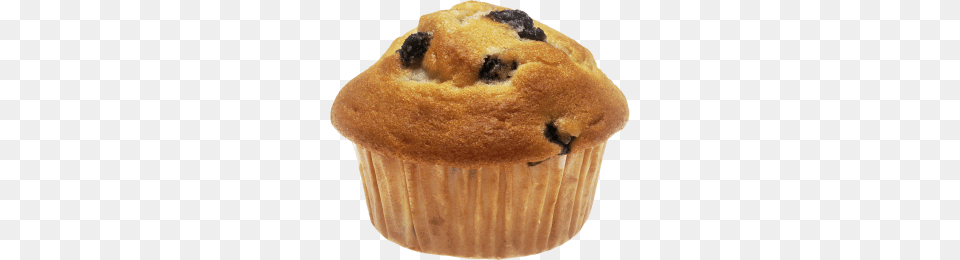 Muffin, Dessert, Food, Plant, Fruit Png