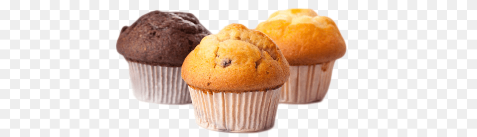 Muffin, Dessert, Food, Bread, Cake Png Image