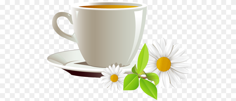 Mug Coffee, Daisy, Flower, Plant, Saucer Png Image
