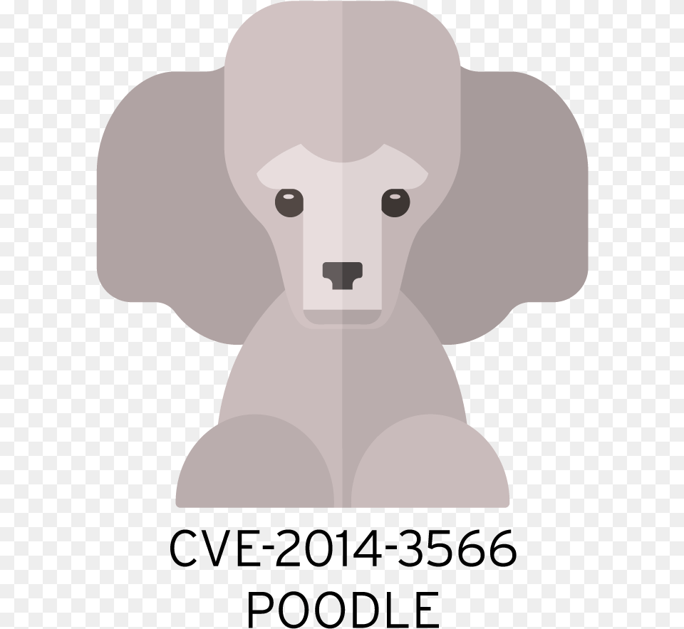 Mug Shot Of A Cute Poodle Labeled Cve 2014 3566 Poodle Miniature Poodle, Baby, Person, Home Decor, Face Png Image