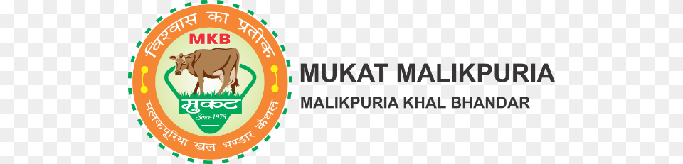 Mukat Cake, Cow, Animal, Mammal, Livestock Png Image