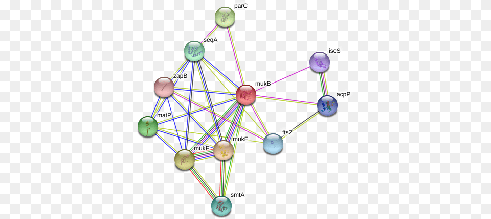 Mukb Protein Circle, Chandelier, Lamp, Sphere, Network Free Png Download