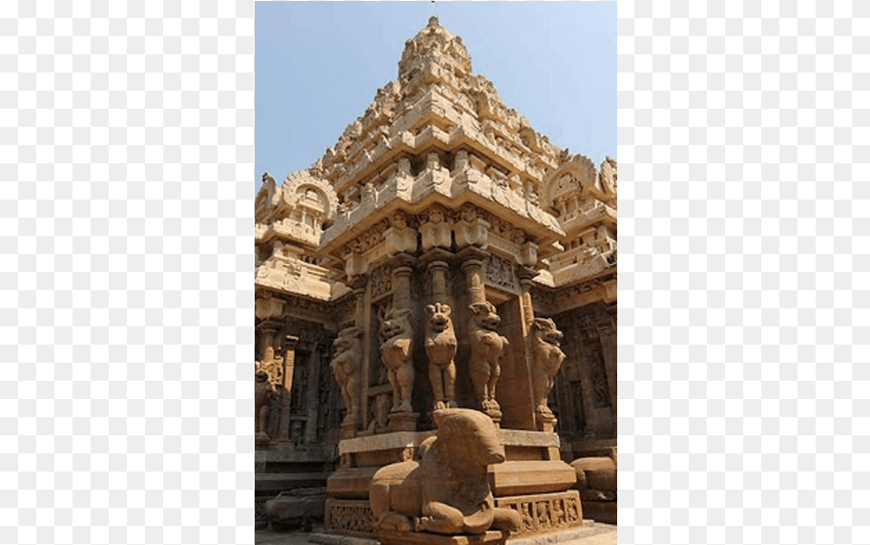 Mukteswara Temple Kanchipuram, Person, Animal, Bear, Mammal Free Png Download