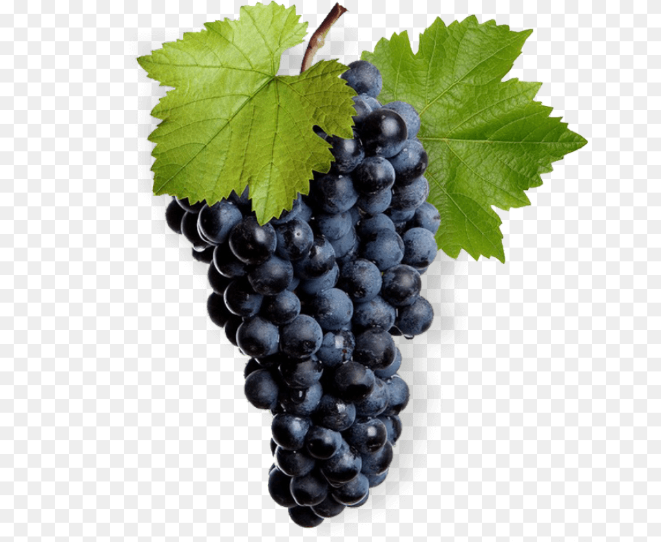 Mukuzani Winery Llc Grape Vine Leaf, Food, Fruit, Grapes, Plant Png Image