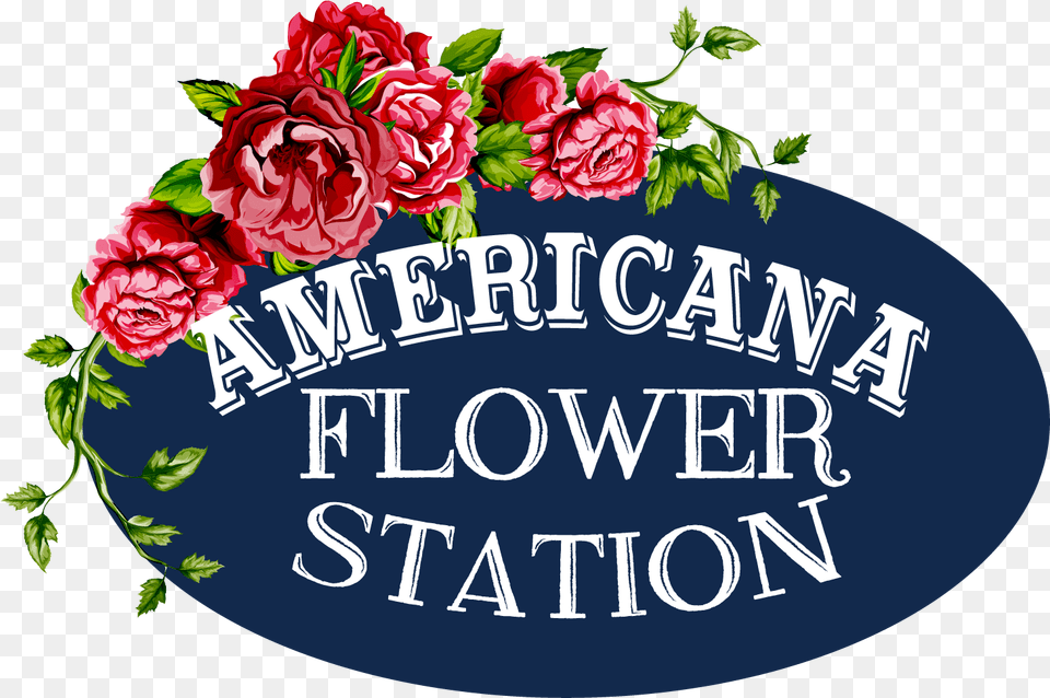 Mukwonago Florist Hybrid Tea Rose, Flower, Plant, Art, Graphics Free Png Download