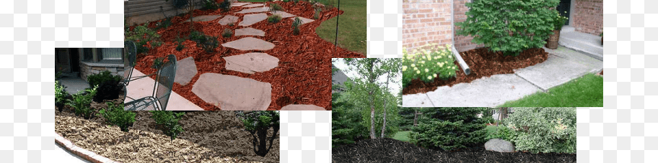 Mulch Examples Mulch, Backyard, Walkway, Soil, Yard Free Png