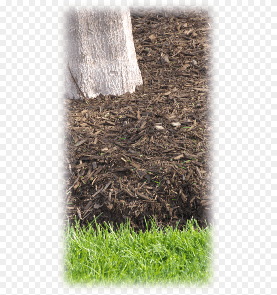 Mulch Ring Wood, Grass, Lawn, Plant, Soil Png Image