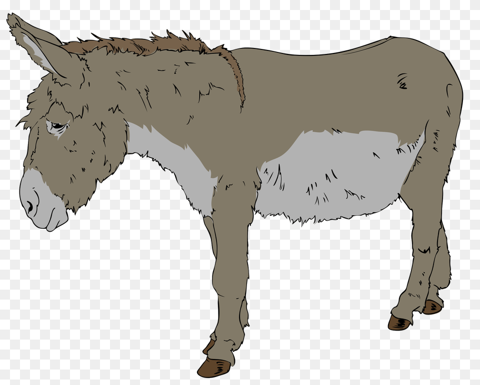 Mule Clipart Old Donkey Benjamin The Donkey Animal Farm, Mammal, Person Free Transparent Png