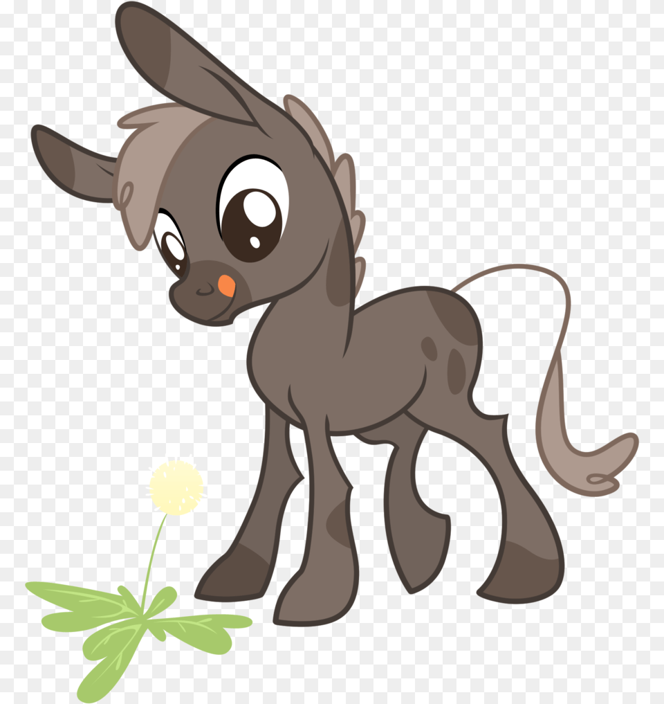 Mule Clipart Filename, Flower, Plant, Animal, Kangaroo Free Transparent Png