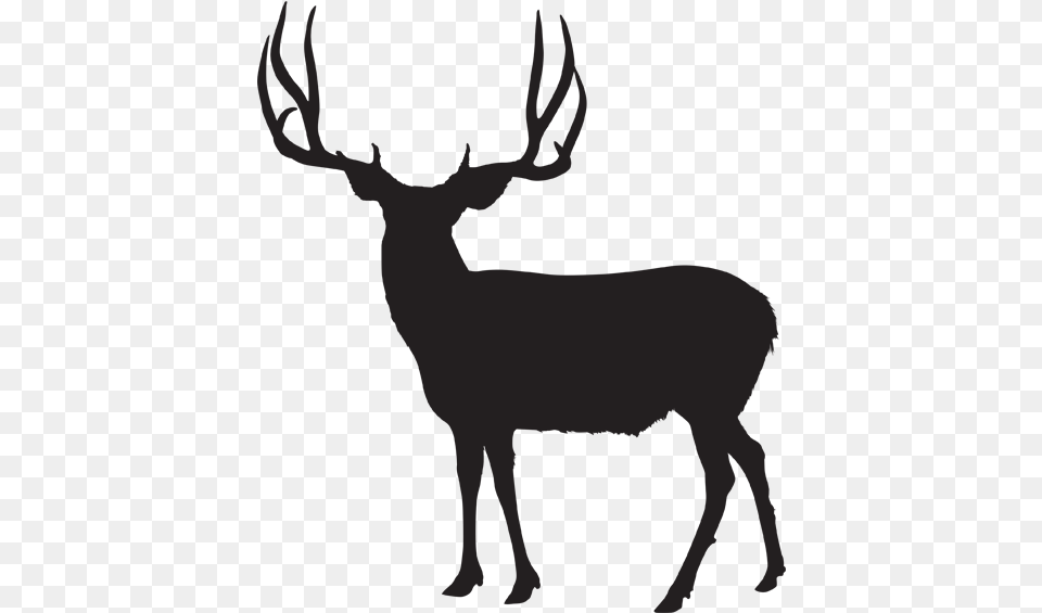 Mule Deer Antlers Silhouette Vector Mule Deer Silhouette, Animal, Elk, Mammal, Wildlife Free Png Download