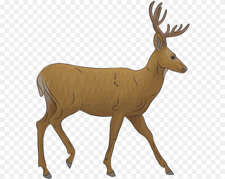 Mule Deer Clipart, Animal, Mammal, Wildlife, Elk Free Transparent Png