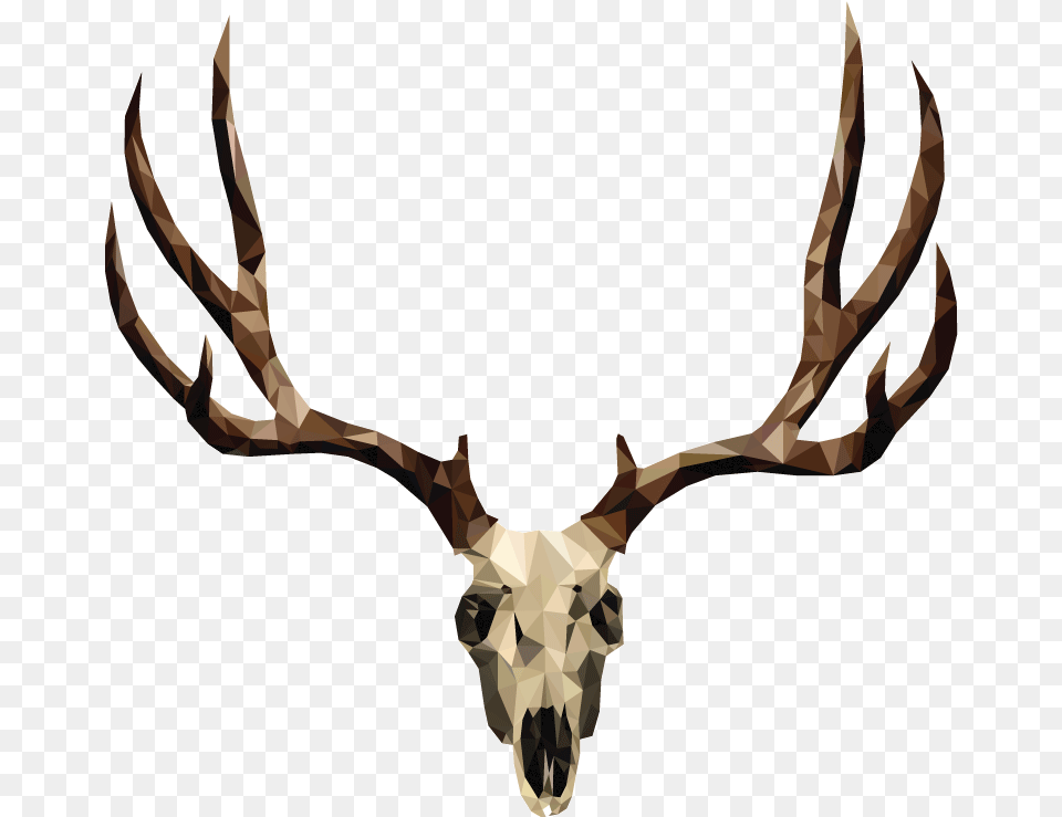 Mule Deer Skull Drawing Deer Antler, Animal, Mammal, Wildlife, Person Free Png