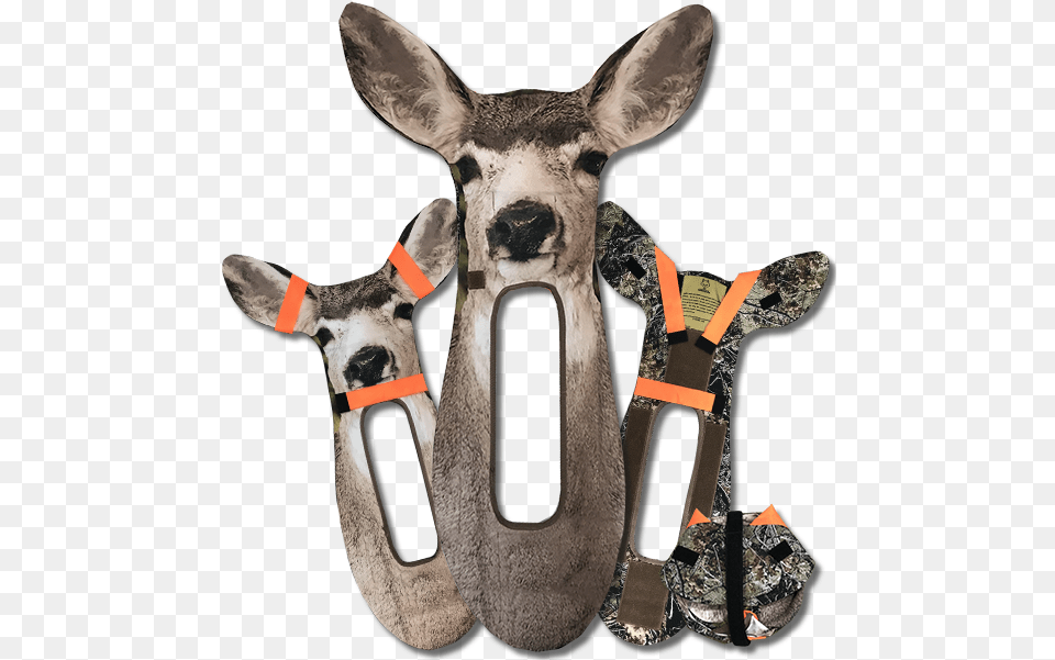 Mule Deer Stalkerstack Mule Deer Decoy For Bow, Animal, Mammal, Wildlife, Kangaroo Free Png Download