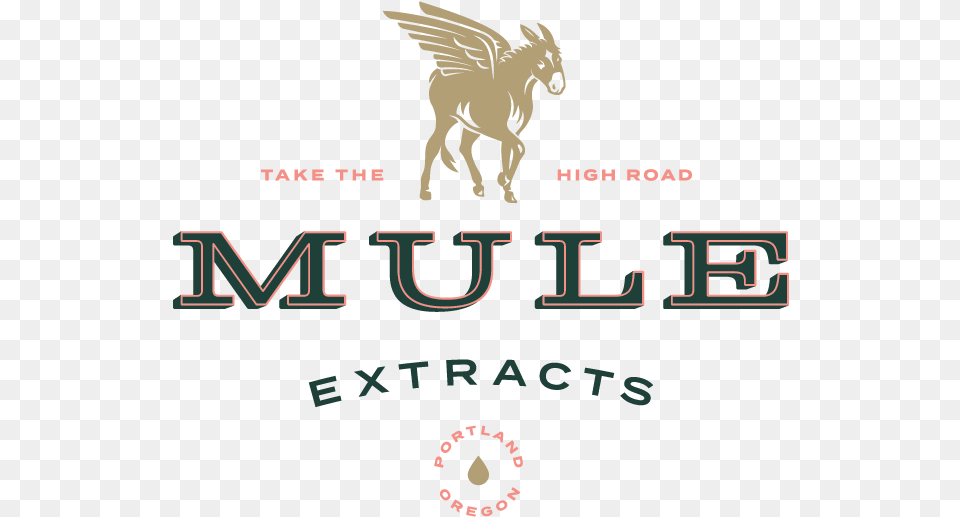 Mule Extracts Logo Design Dog Catches Something, Animal, Horse, Mammal Png Image