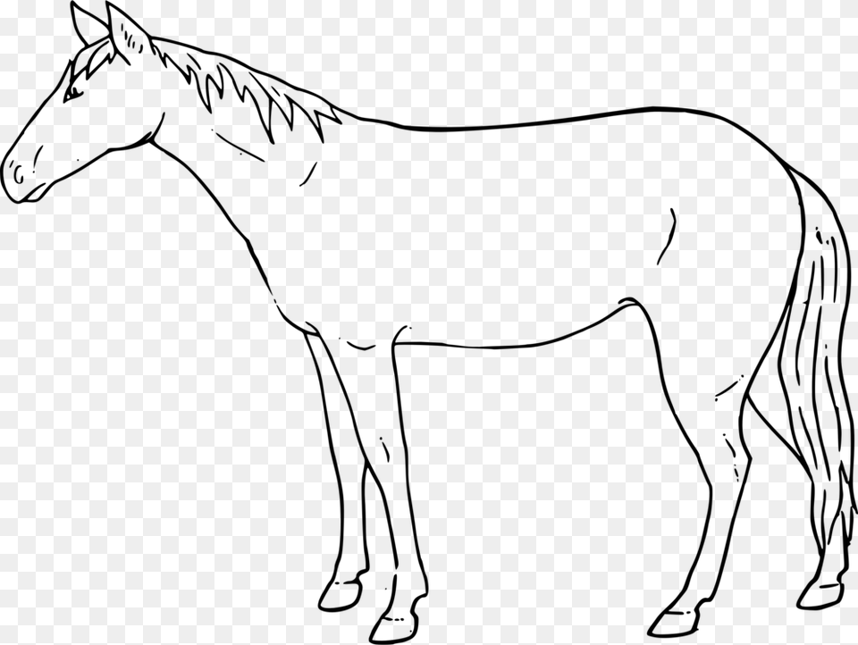 Mule Mustang Drawing Pony Painting Draw A Standing Horse Step, Gray Free Png