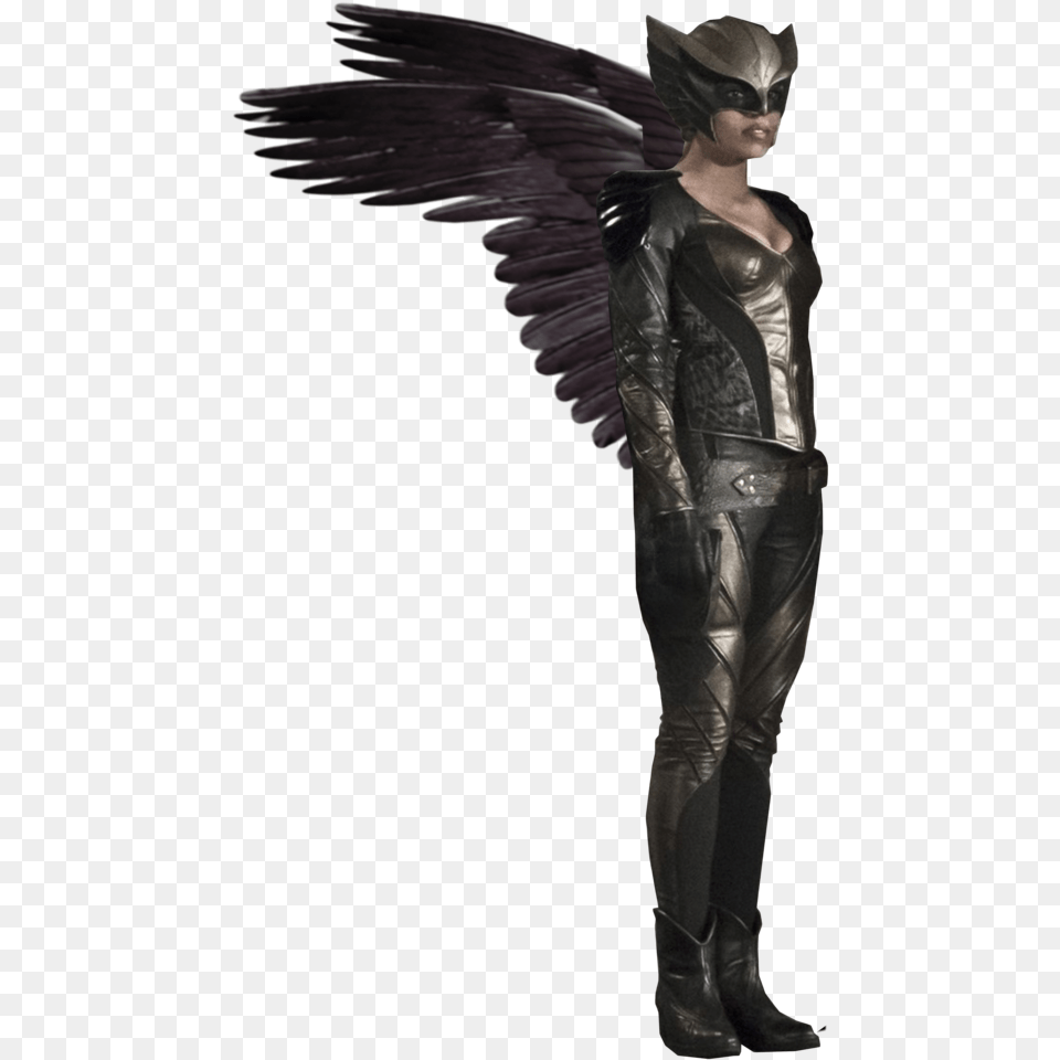 Mulher Gavio Hawkman E Hawkgirl, Adult, Male, Man, Person Free Png