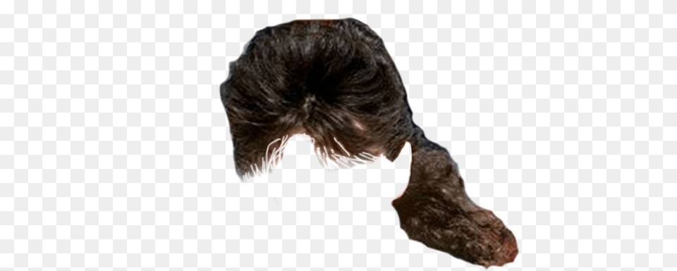 Mullet 3 Mullet, Adult, Male, Man, Person Png