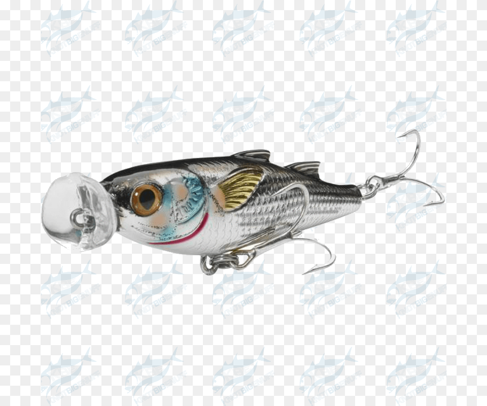 Mullet Popper Mup Pull Fish Out Of Water Full Pull Fish Out Of Water, Animal, Sea Life, Fishing Lure Free Png Download