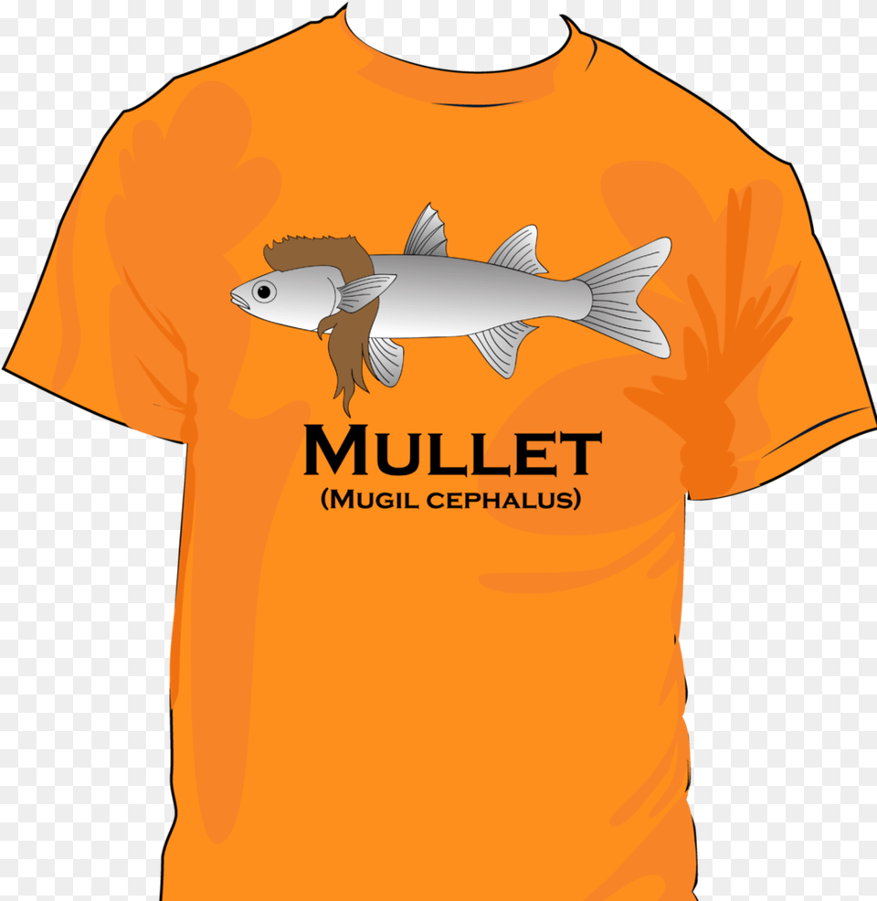 Mullet Shirt, Clothing, T-shirt, Animal, Fish Free Transparent Png