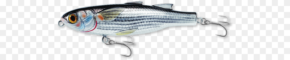 Mullet Walking Bait Striper Bass, Animal, Fish, Food, Mullet Fish Png